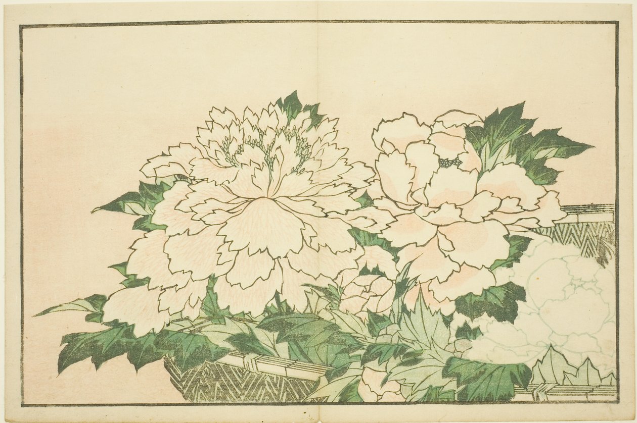 Chryzantémy v košíku, z Obrázkové knihy realistických obrazů Hokusai (Hokusai shashin gafu) od Katsushika Hokusai