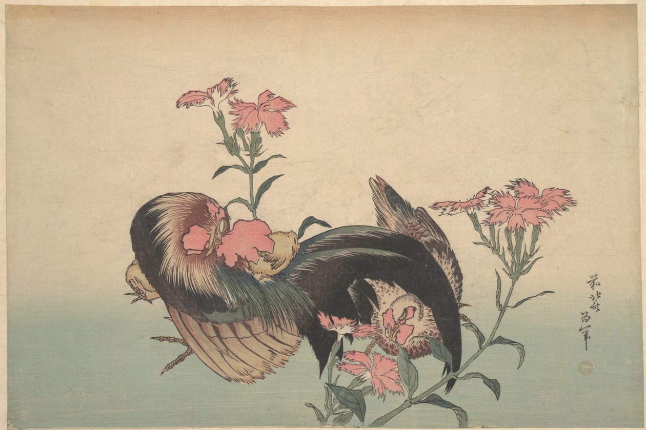 Kohout, slepice a nadeshiko (Dianthus superbus) od Katsushika Hokusai