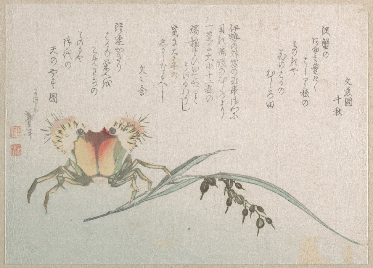 Závod na zpracování krabů a rýže od Katsushika Hokusai