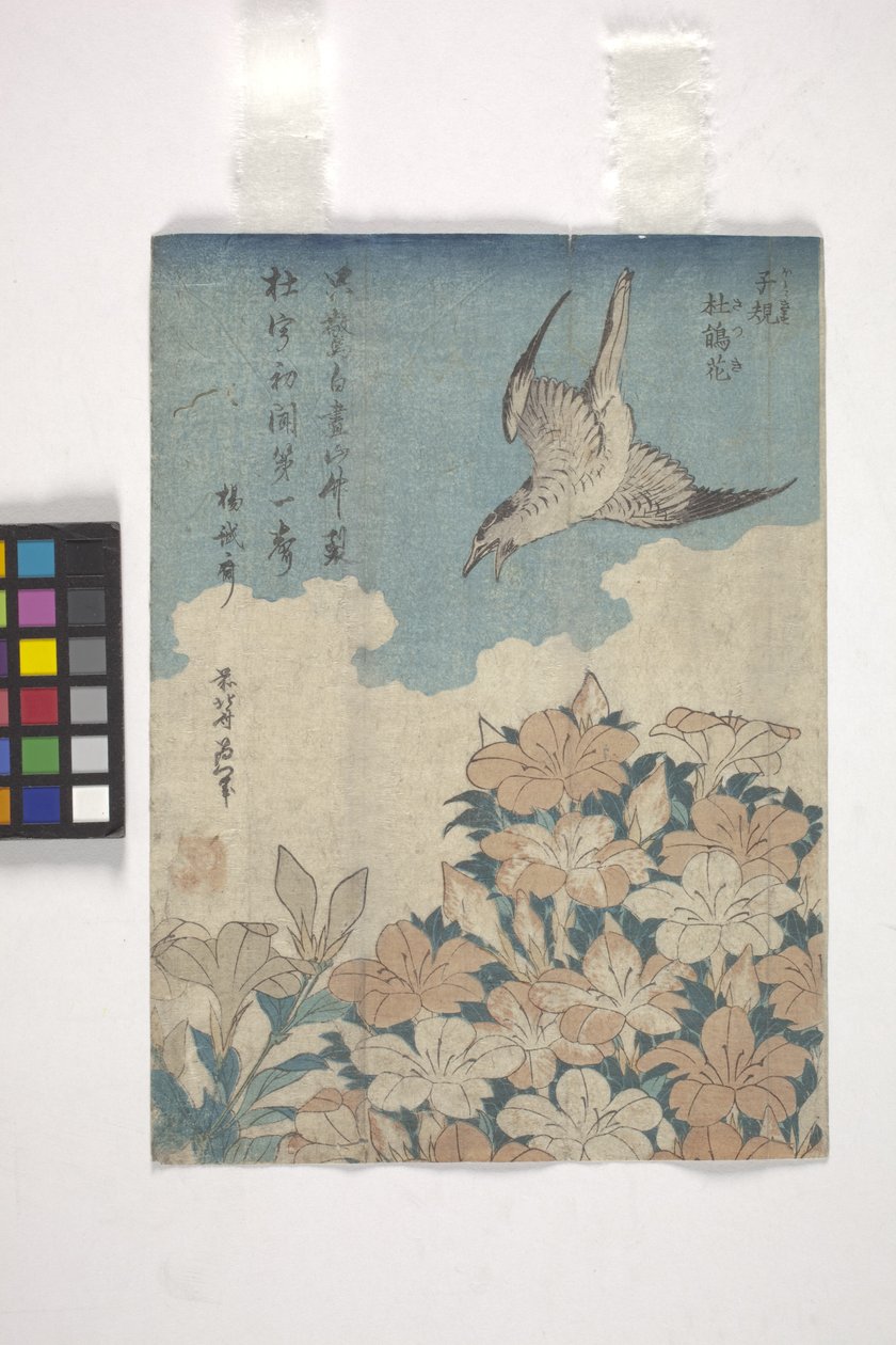 Kukačka a azalka (barevný dřevoryt) od Katsushika Hokusai