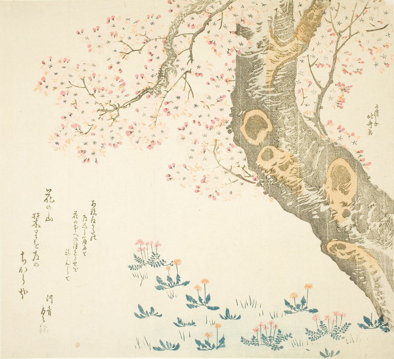 Pampelišky a jetel pod třešní od Katsushika Hokusai