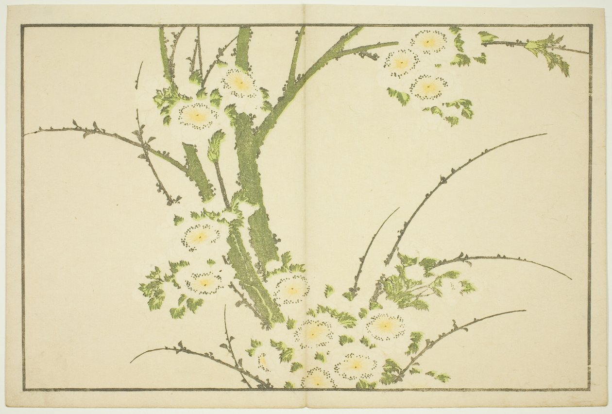 Květiny, z Obrázkové knihy realistických obrazů Hokusai (Hokusai shashin gafu) od Katsushika Hokusai