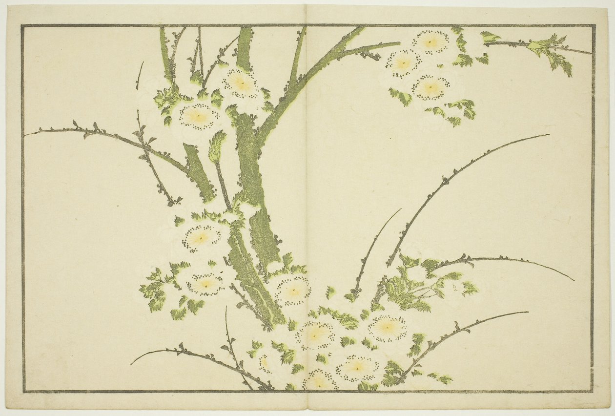 Květiny, z Hokusaiovy knihy realistických obrazů (Hokusai shashin gafu), asi 1814 (barevný dřevoryt (albový list)) od Katsushika Hokusai