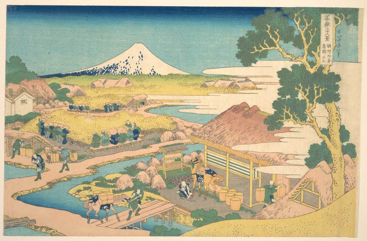 Fuji z čajových plantáží Katakura v Surugě (Sunshū Katakura chaen no Fuji), ze série Třicet šest pohledů na horu Fuji (Fugaku sanjūrokkei) od Katsushika Hokusai