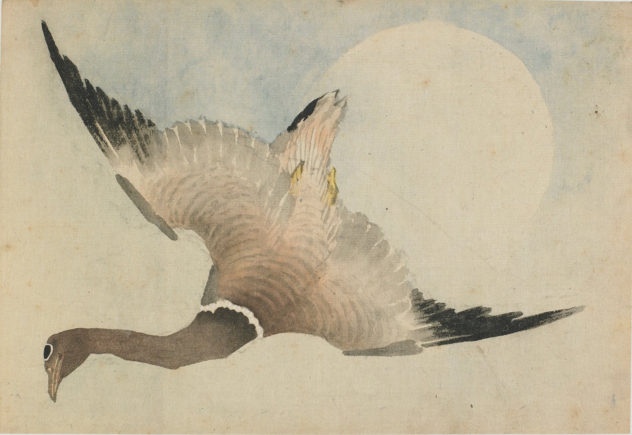 Husa letící před měsícem, konec 18.-začátek 19. století. od Katsushika Hokusai