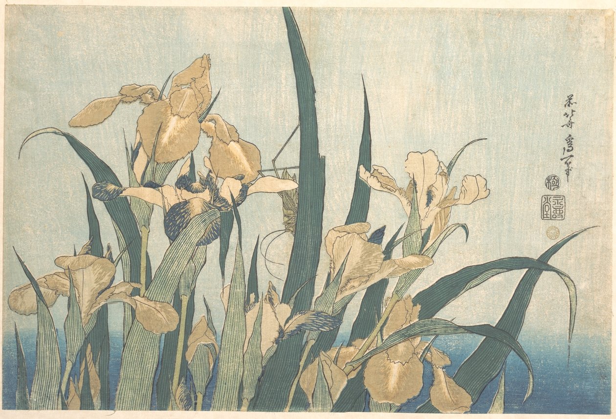 Kobylka a kosatec od Katsushika Hokusai