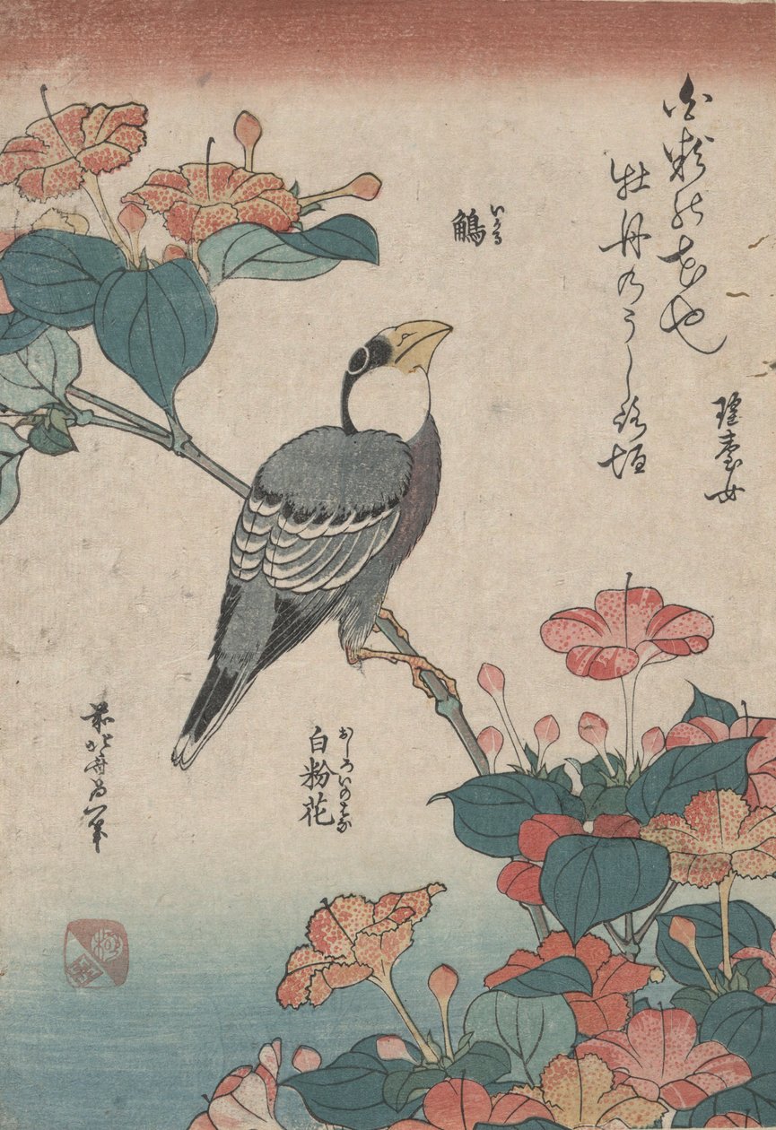 Grosbeak on Mirabilis, z nepojmenované série s názvem Small Flowers od Katsushika Hokusai