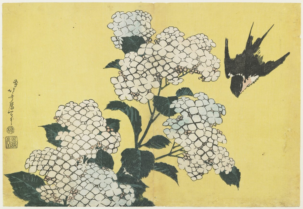 Hortenzie a vlaštovka, c. 1832 od Katsushika Hokusai