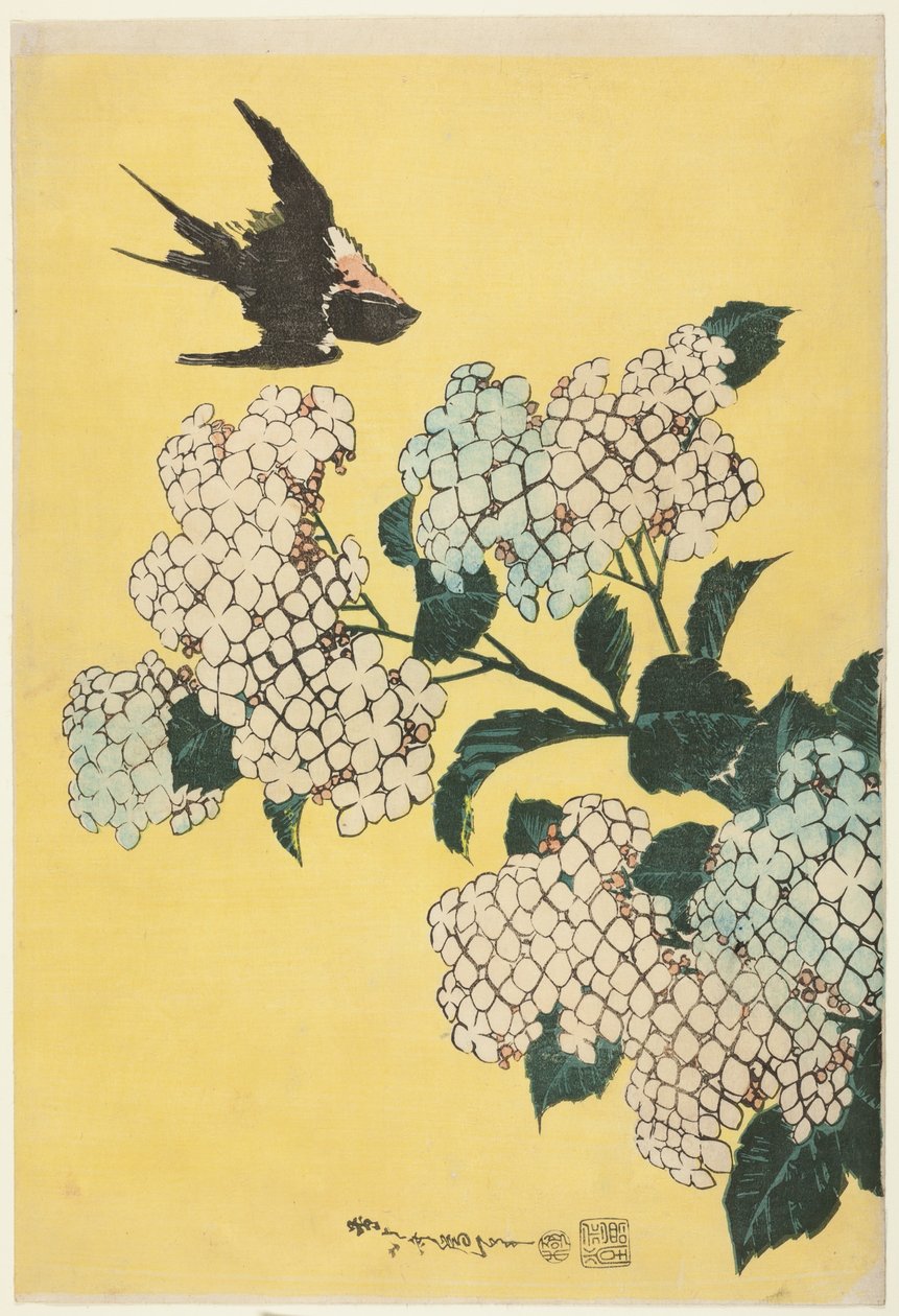 Hortenzie a vlaštovka, z nepojmenované série velkých květin od Katsushika Hokusai