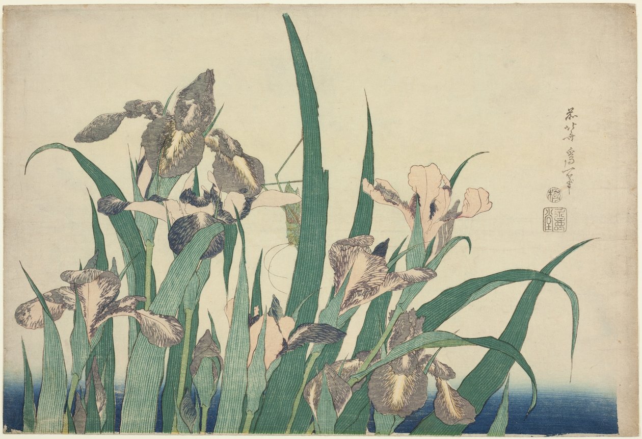 Iris a Grasshopper, z nepojmenované série velkých květin od Katsushika Hokusai