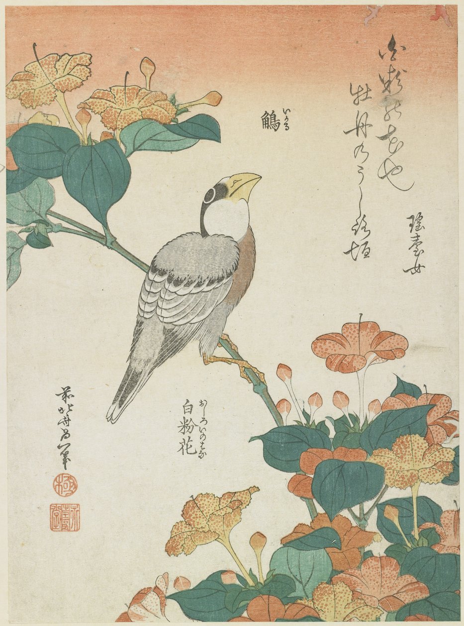 Japonský dlask a čtyřzubec, asi 1833 od Katsushika Hokusai