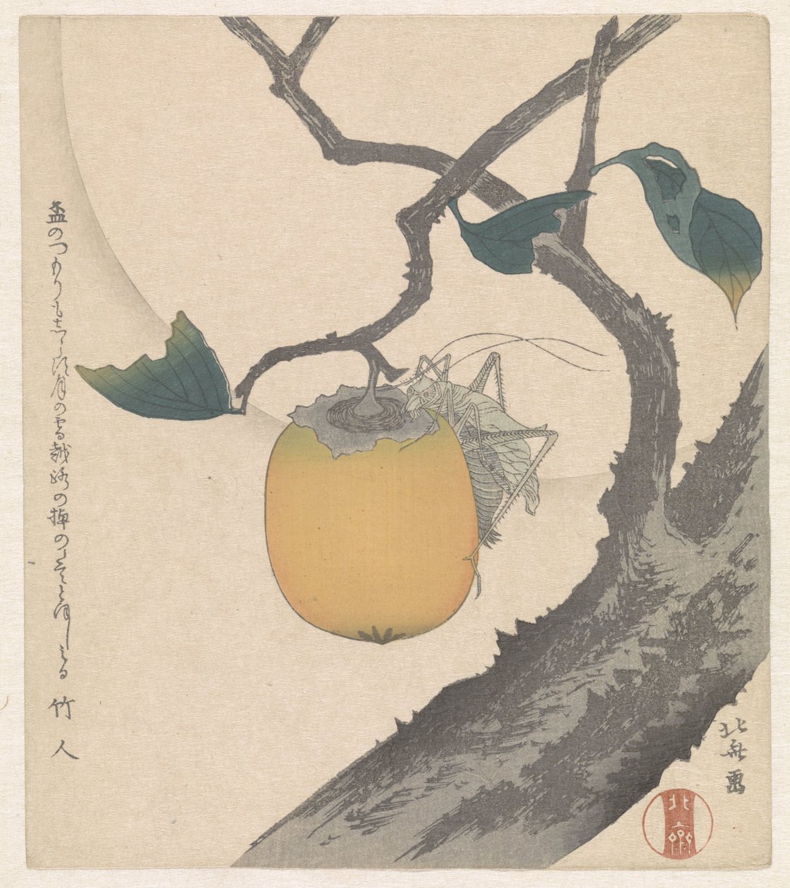 Kaki ovoce s kobylkou od Katsushika Hokusai