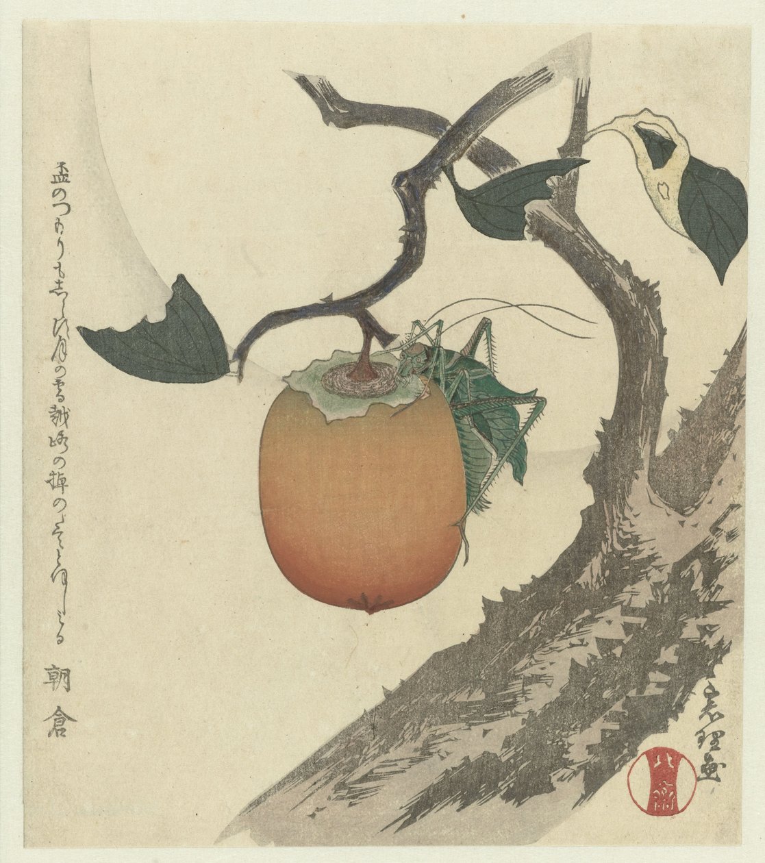 Kaki ovoce s kobylkou od Katsushika Hokusai