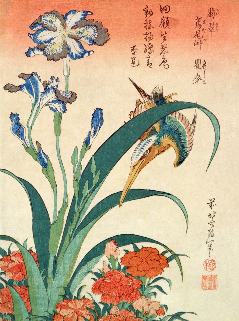 Ledňáček, Iris and Pinks, hospoda. od Nishimura Eijudo, kolem roku 1832, jeden ze sady deseti tisků, (velikost chuban, barevný dřevěný blok) od Katsushika Hokusai