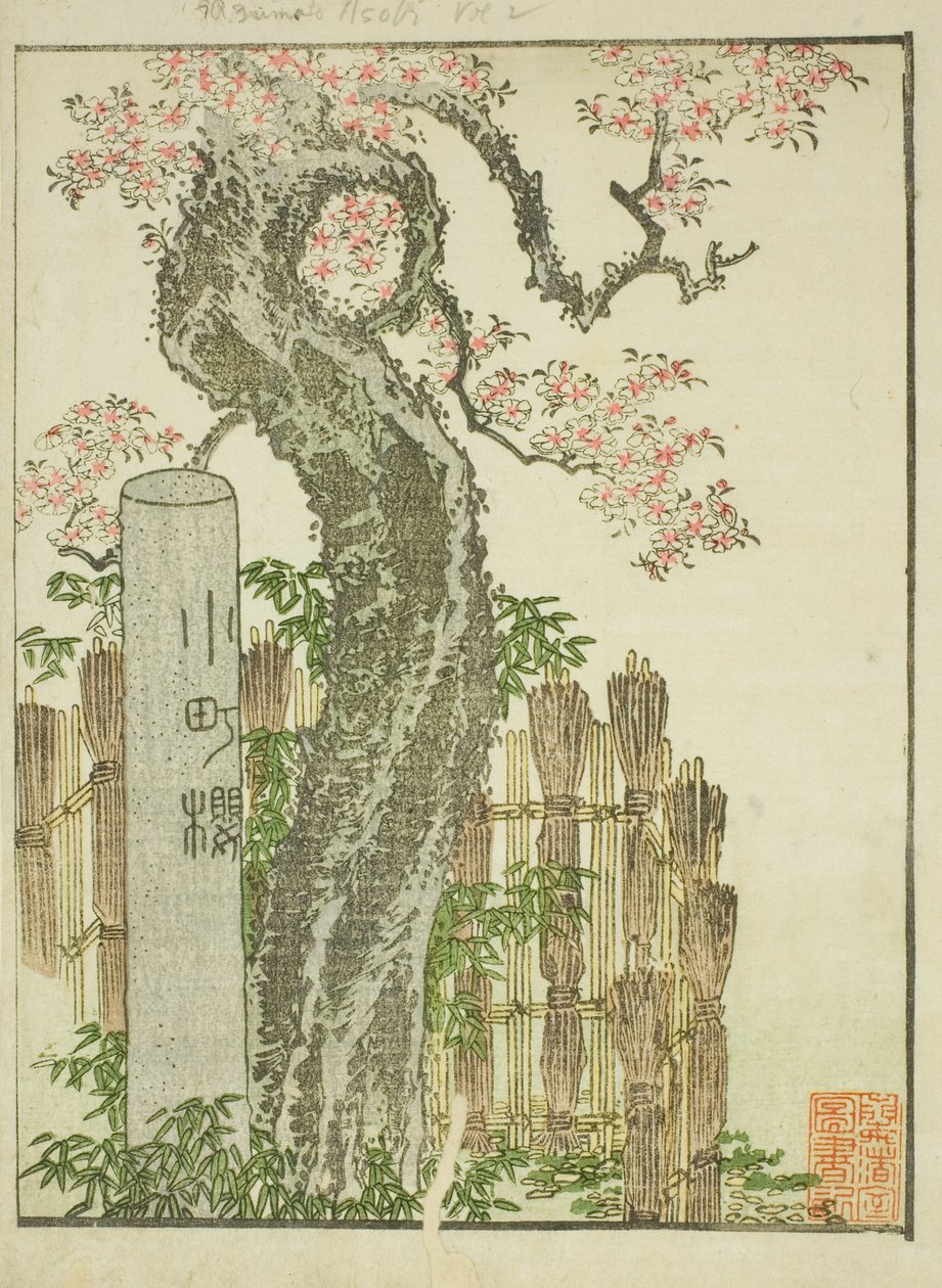 Třešeň Komachi (Komachi zakura), z ilustrované knihy „Obrázková kniha zábav východu (Ehon Azuma asobi)“ od Katsushika Hokusai