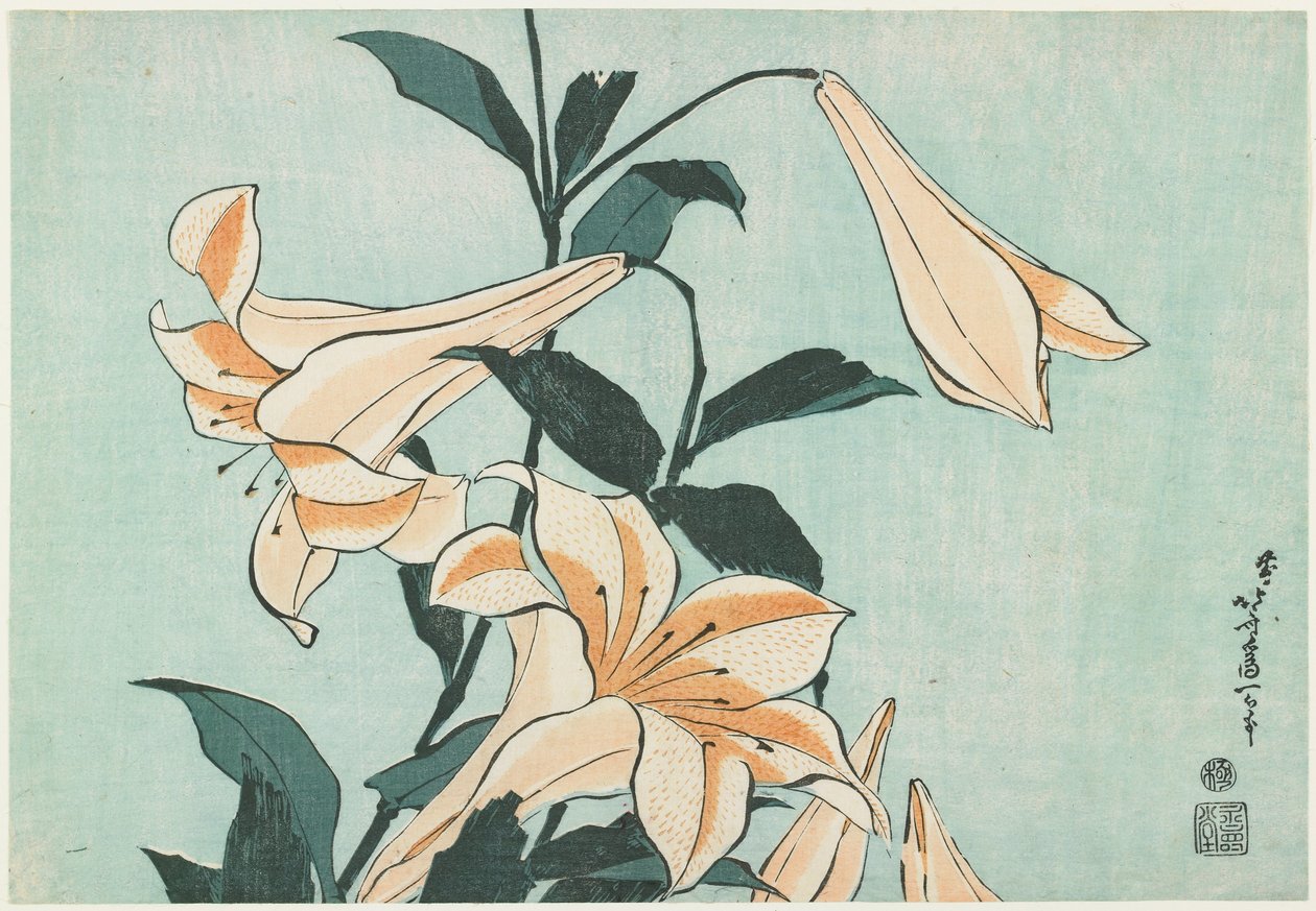 Lilie od Katsushika Hokusai