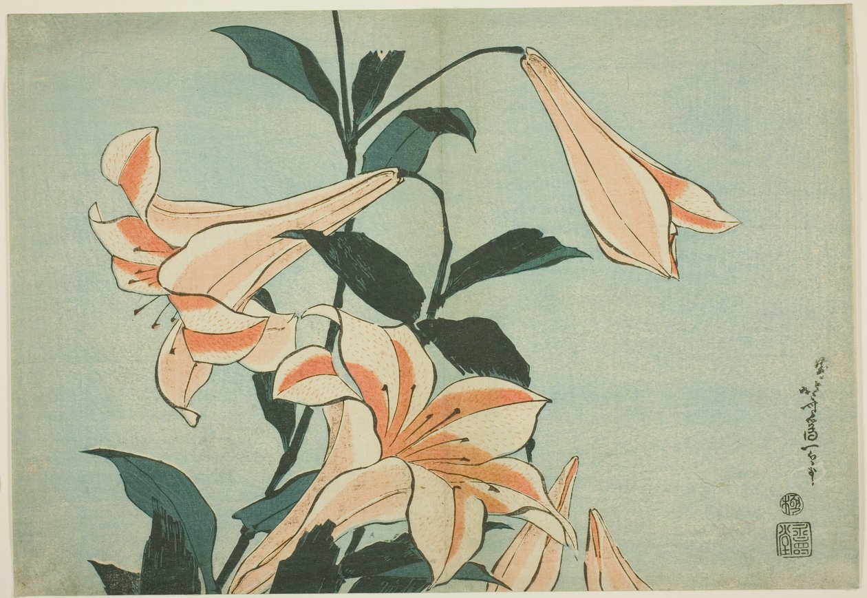 Lilie, z nepojmenované série Velkých květin od Katsushika Hokusai
