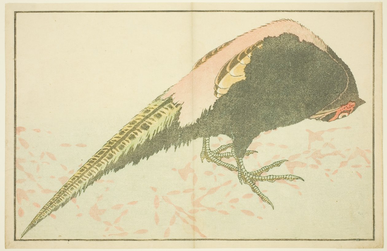Muž Bažant, z Obrazové knihy realistických obrazů Hokusai (Hokusai shashin gafu) od Katsushika Hokusai