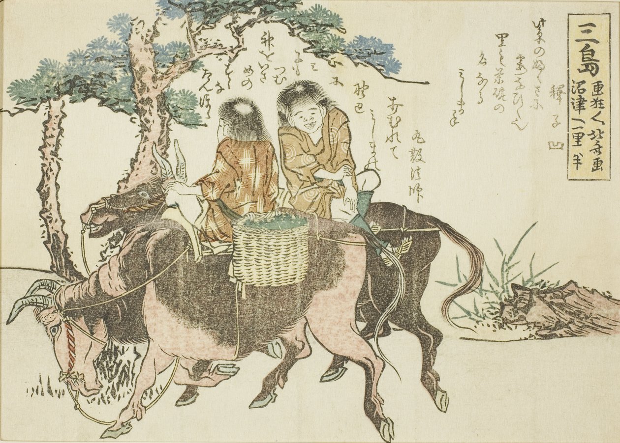 Mishima, z nepojmenované série padesáti tří stanic Tokaida od Katsushika Hokusai