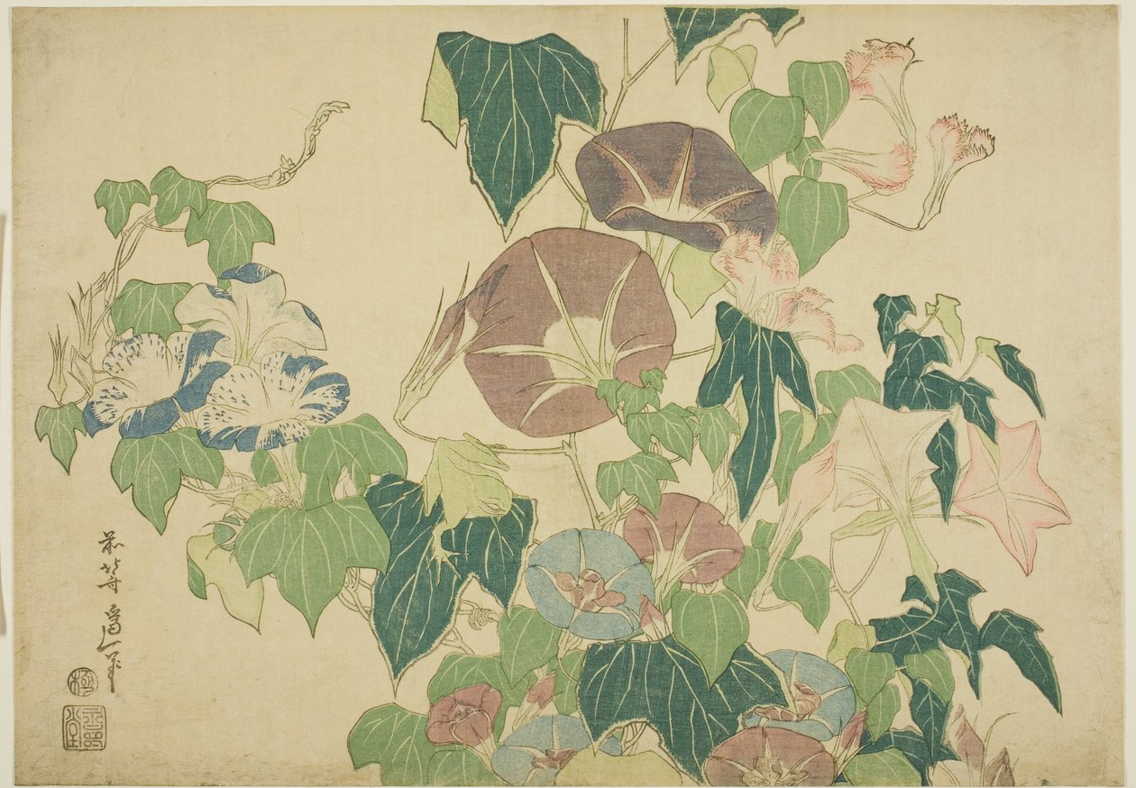 Morning Glories a rosnička z nepojmenované série Velkých květin od Katsushika Hokusai