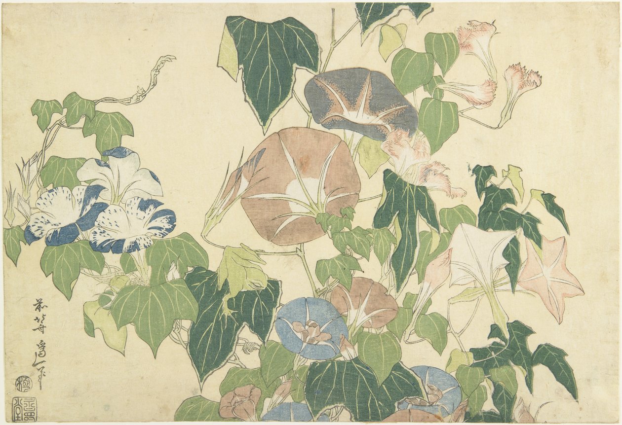 Morning Glories and Tree Frog, z nepojmenované série známé jako Velké květy, kolem 1833-34 (barevný dřevotisk) od Katsushika Hokusai