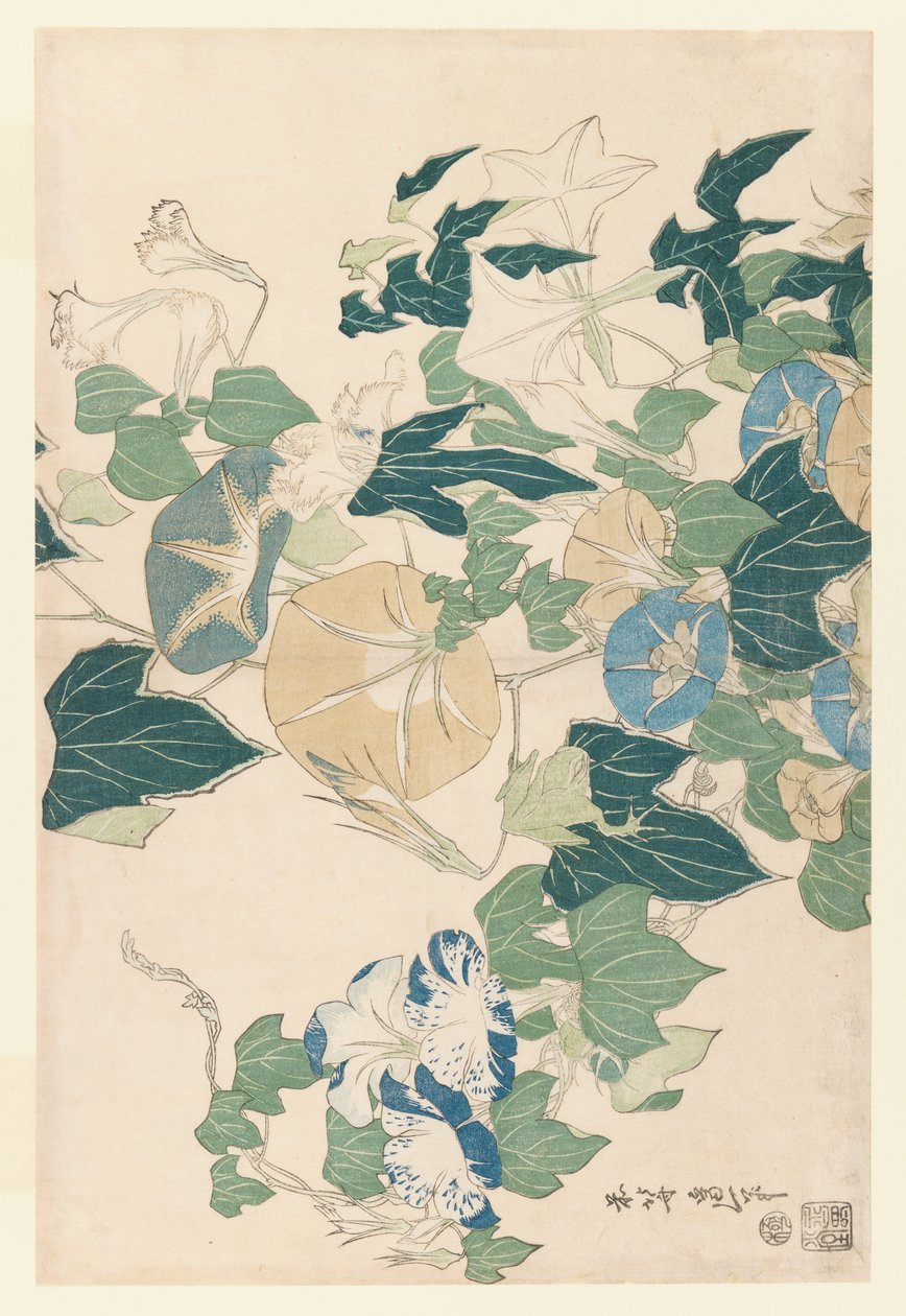 Morning Glories in Flowers and Pupens, cca 1830 (barevný dřevořez) od Katsushika Hokusai