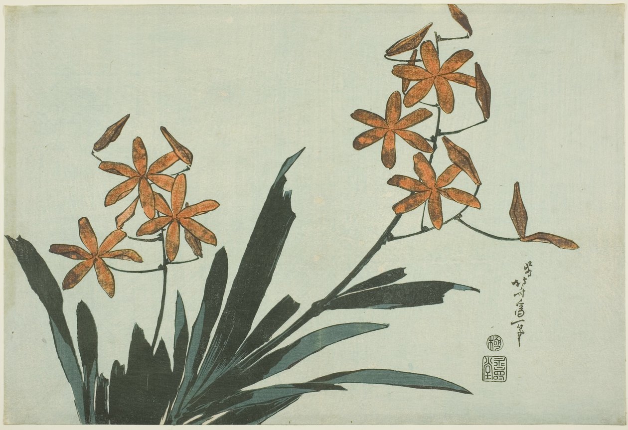 Orange Orchids, z nepojmenované série květin od Katsushika Hokusai