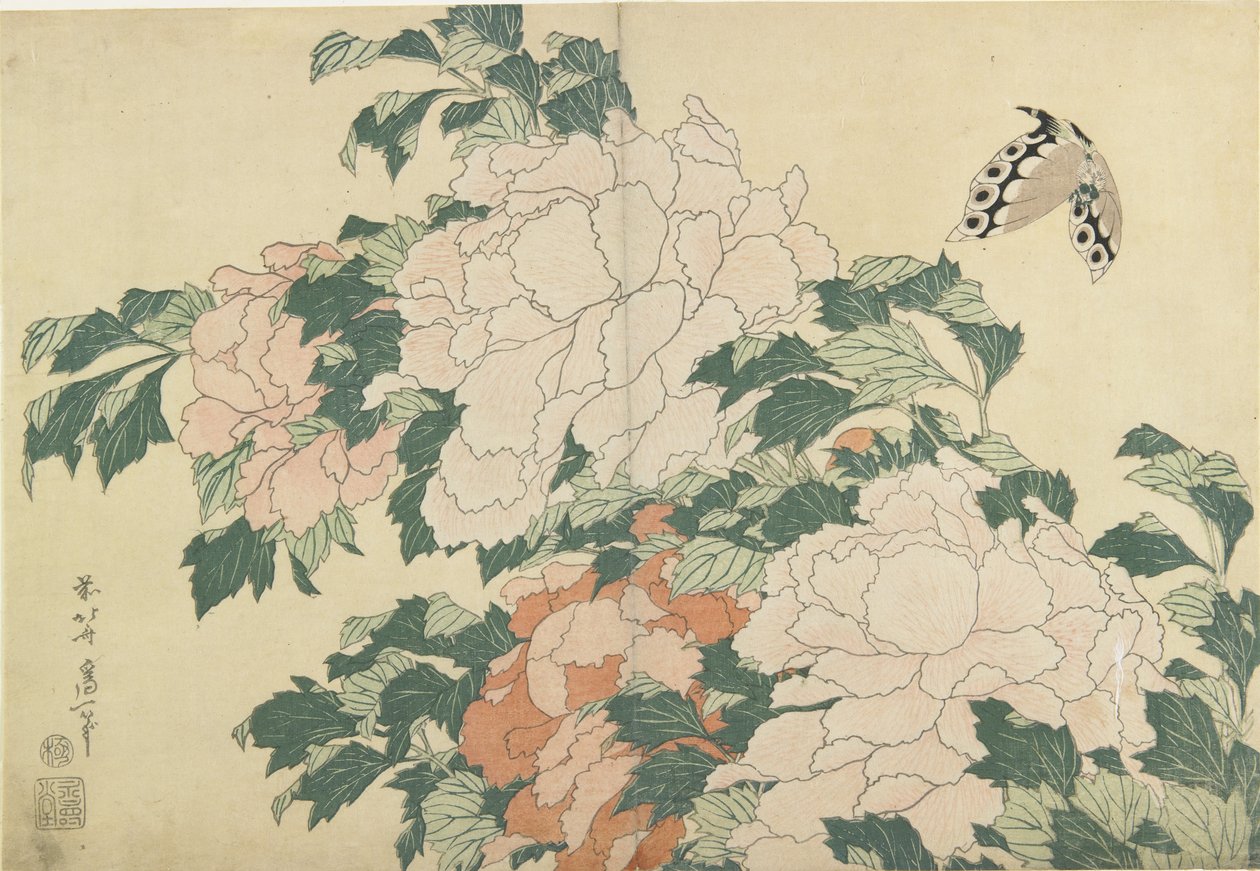Pivoňky a motýl, c. 1830-1831 od Katsushika Hokusai