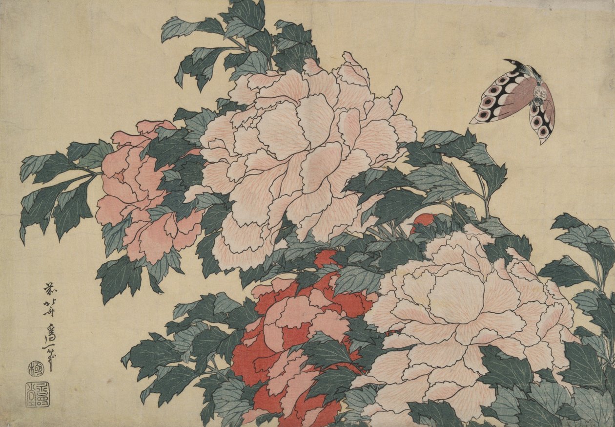 Pivoňky a motýl, ze série bez názvu s názvem „Velké květiny“ od Katsushika Hokusai