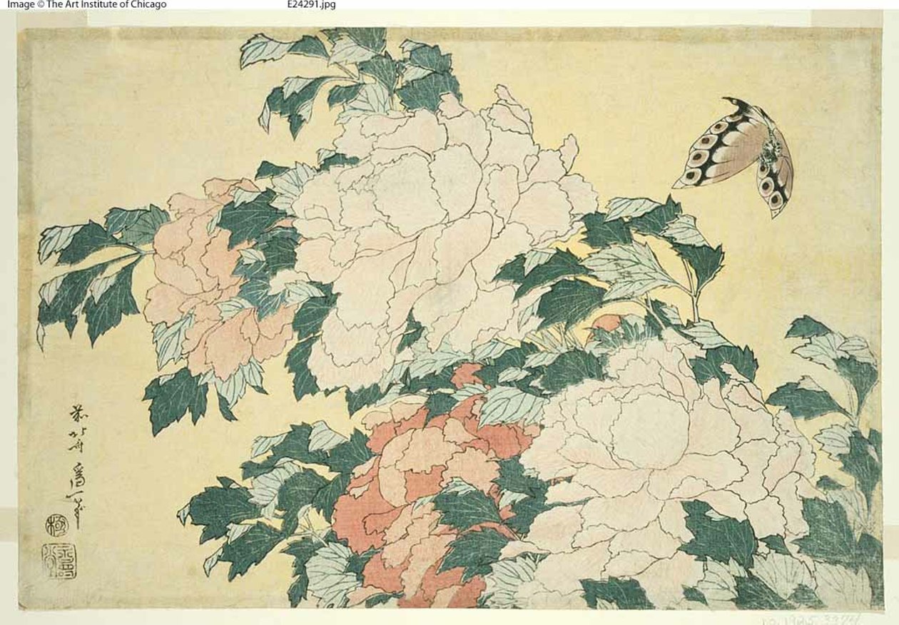 Pivoňky a motýl, z nepojmenované série velkých květin od Katsushika Hokusai