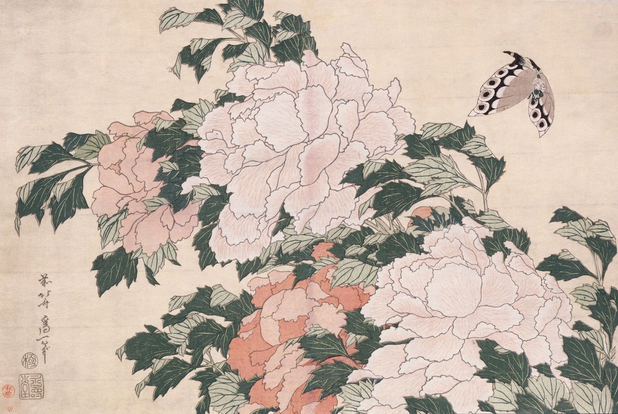 Růžové a červené pivoňky foukané doleva ve vánku a motýl od Katsushika Hokusai