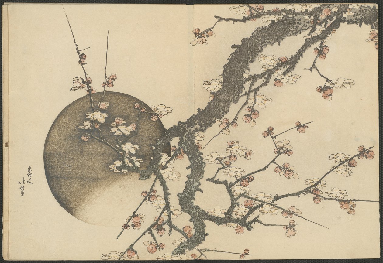 Květ švestky a měsíc z knihy Hora Fudži na jaře (Haru no Fuji) od Katsushika Hokusai