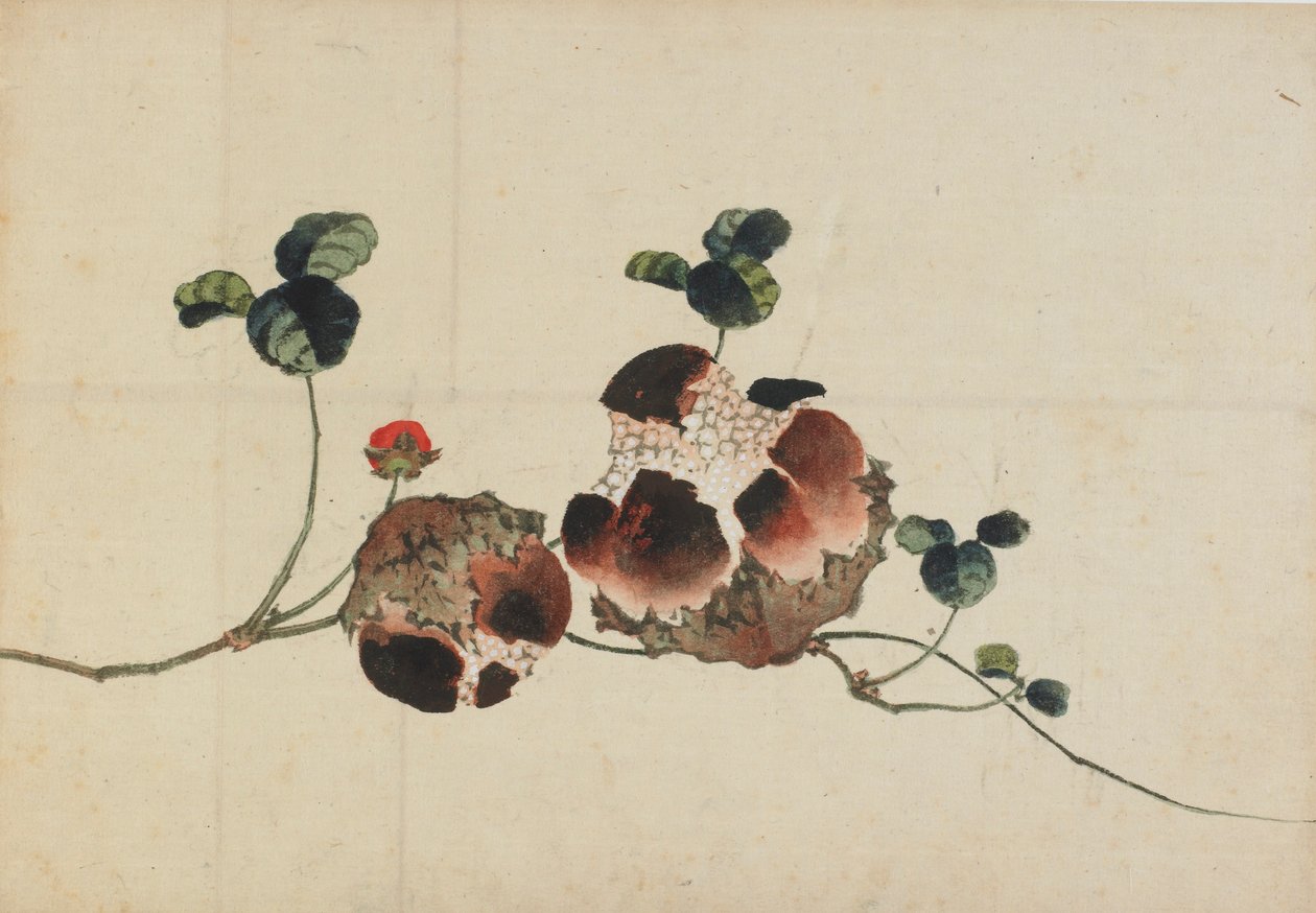 Granátová jablka, konec 18.-začátek 19. století. od Katsushika Hokusai