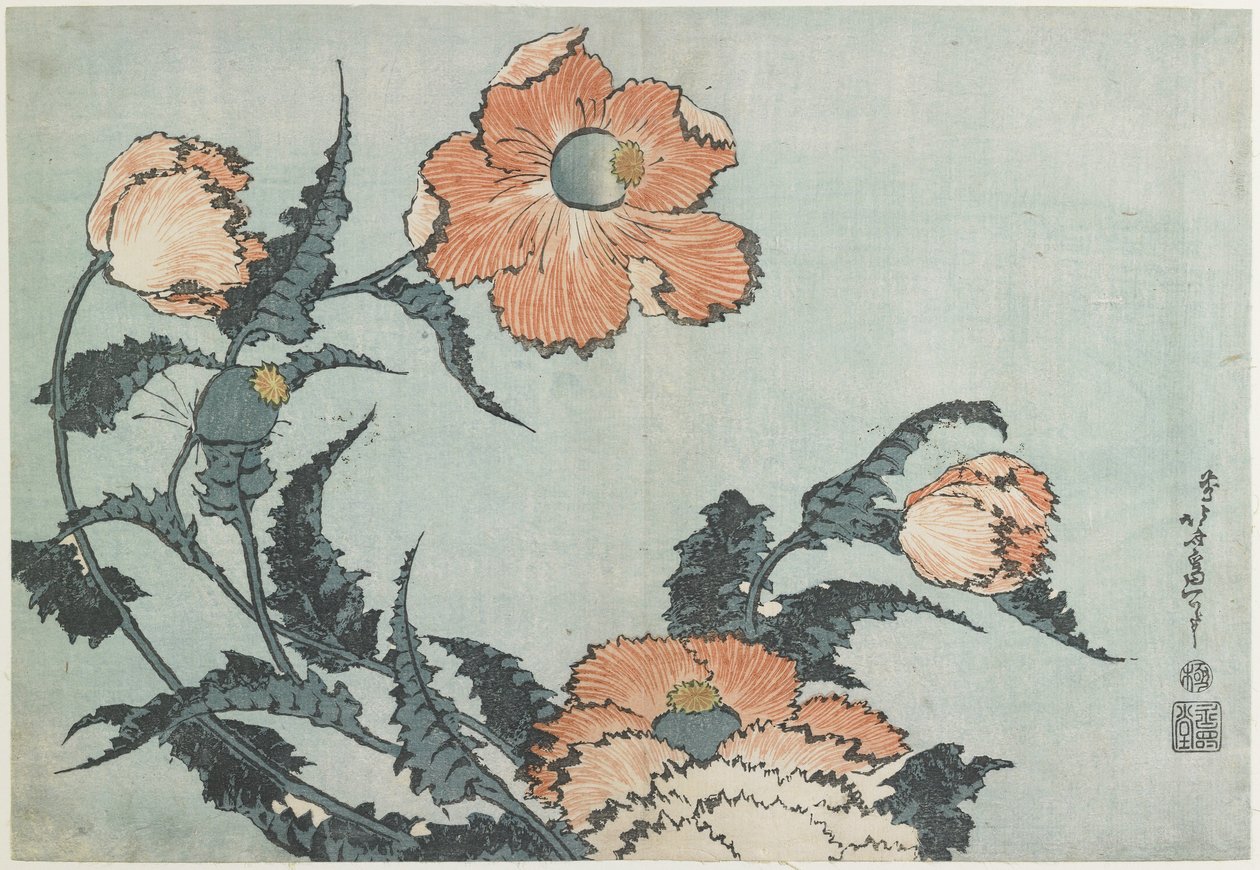 Mák, c. 1832 od Katsushika Hokusai