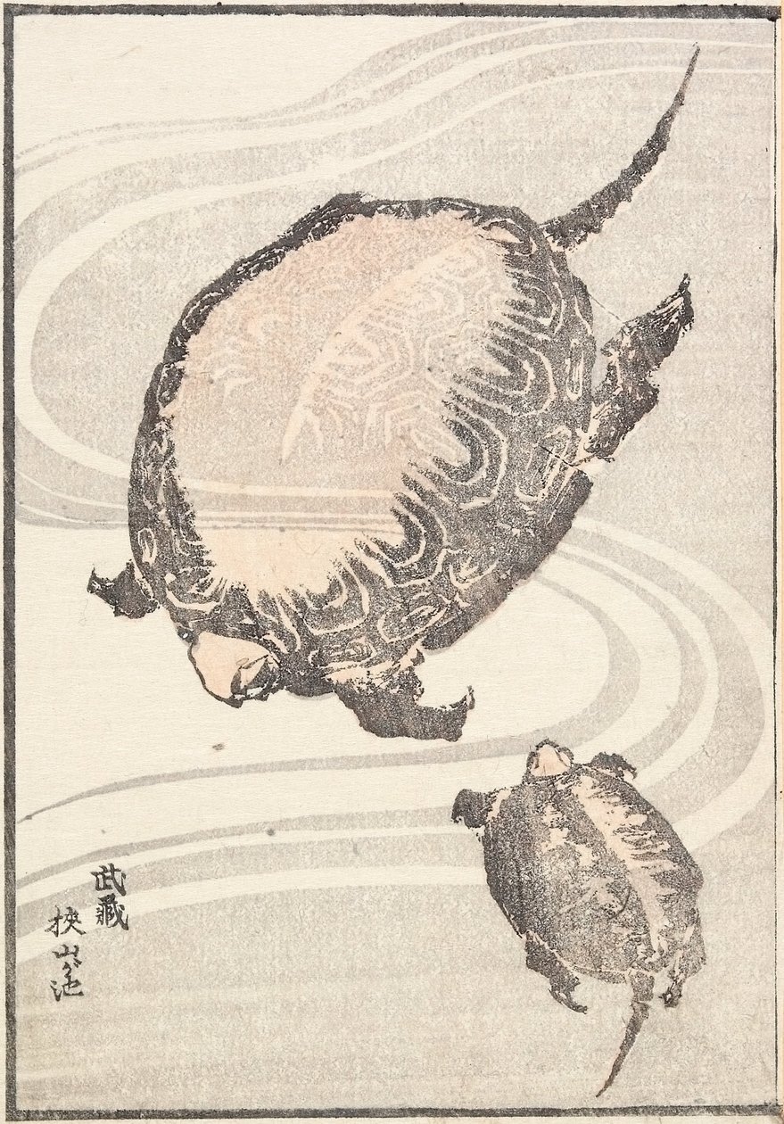Rybník Sayama-ga-ike v provincii Musashi od Katsushika Hokusai