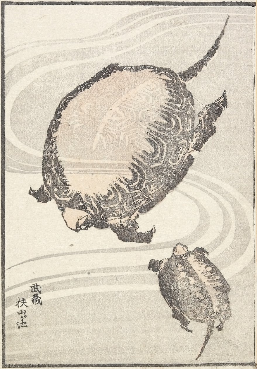 Člen Sayama-ga-ike pon d Musashi P Rovinse, 1817 od Katsushika Hokusai