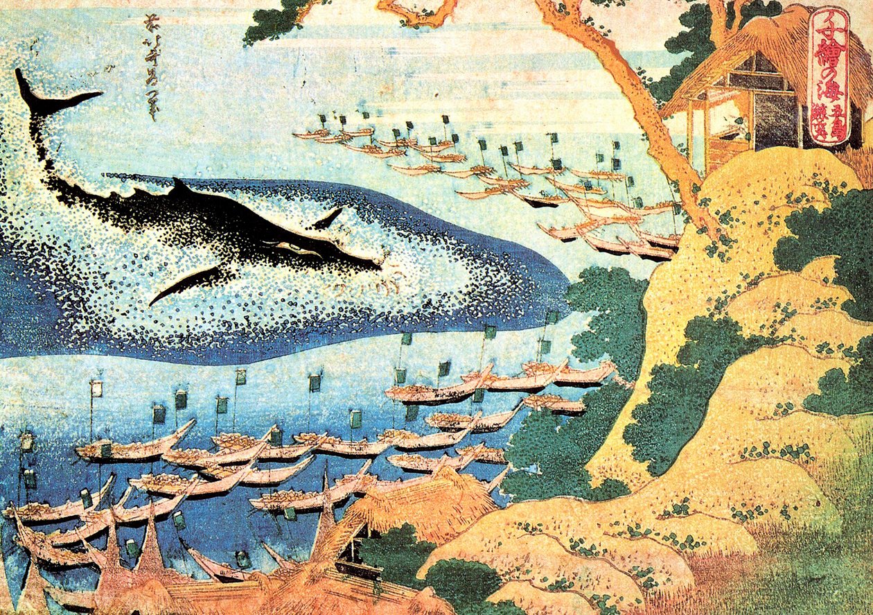 Série tisíce pohledů na oceán: velryba u ostrovů Goto, Japonsko - tisk Katsushika Hokusai (1760-1849) (škola ukiyo-e) 1830-1833 Státní muzeum výtvarných umění A Puškin, Moskva od Katsushika Hokusai