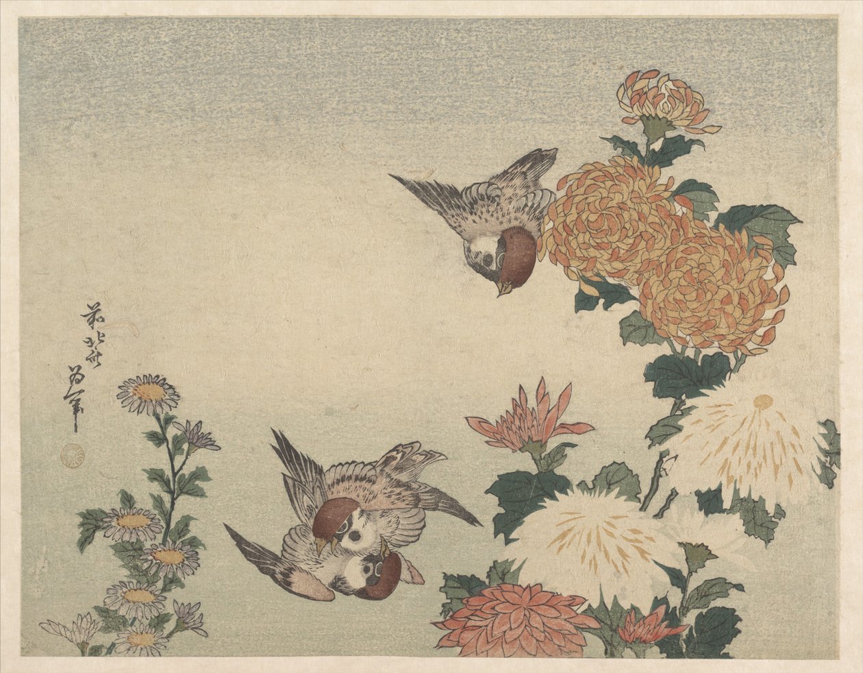 Vrabci a chryzantémy od Katsushika Hokusai