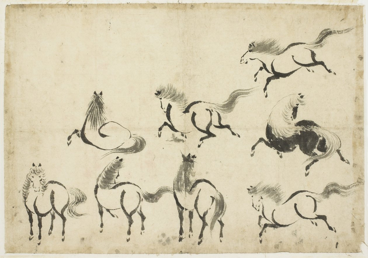 Studia koní, c.1815-1849 (inkoust na papíře) od Katsushika Hokusai