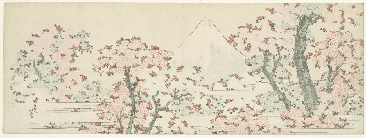Hora Fudži s kvetoucími třešněmi od Katsushika Hokusai