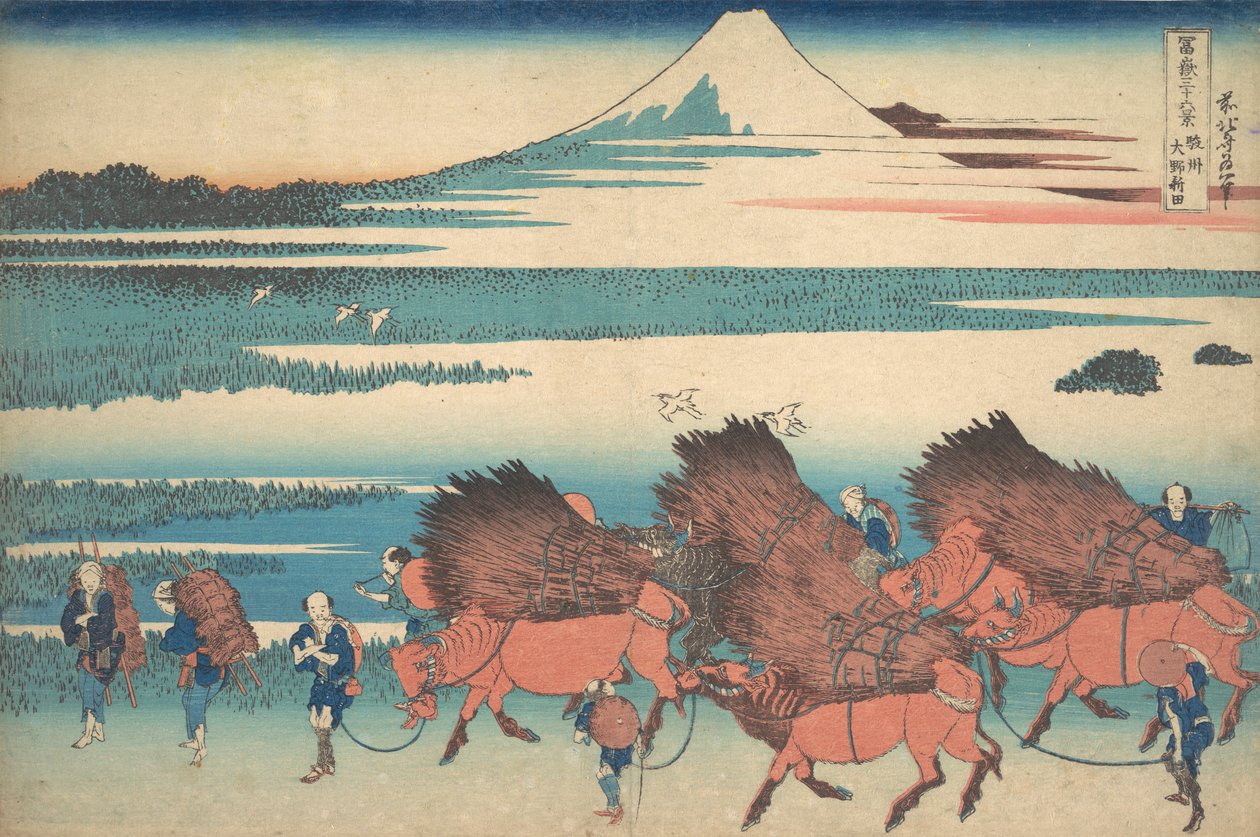 Nová pole v Ono v provincii Suruga Sunshu Ono shinden, ze série Thir..., ca. 1830-32. od Katsushika Hokusai