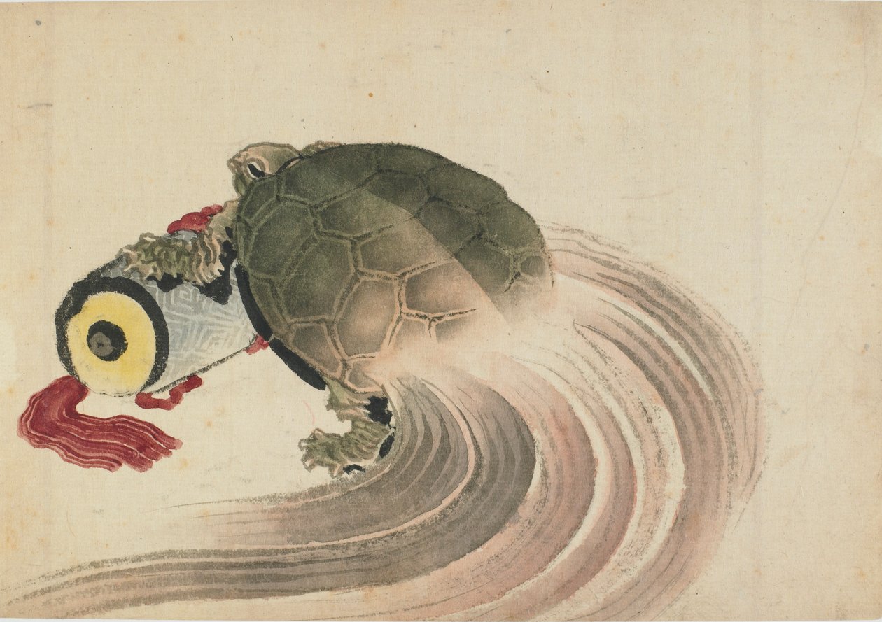 Želva spočívající na svitku, konec 18. a začátek 19. století. od Katsushika Hokusai