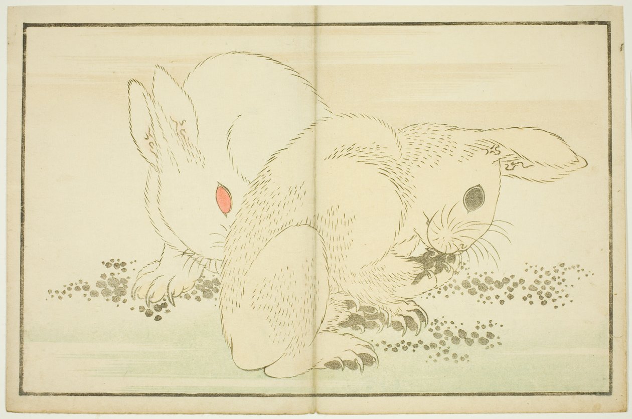 Dva králíci z Obrázkové knihy realistických obrazů Hokusai (Hokusai shashin gafu) od Katsushika Hokusai