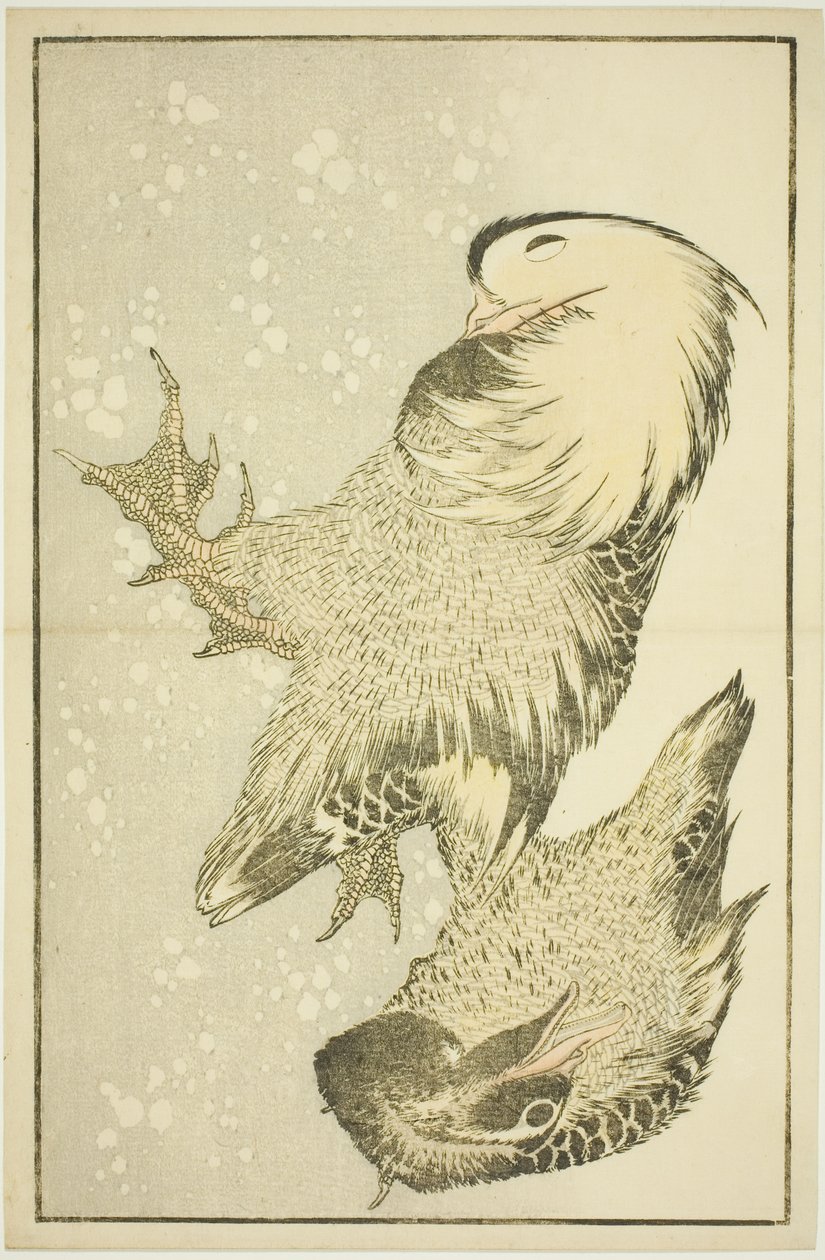 Dva vodní ptactvo, z Obrázkové knihy realistických obrazů Hokusai (Hokusai shashin gafu) od Katsushika Hokusai