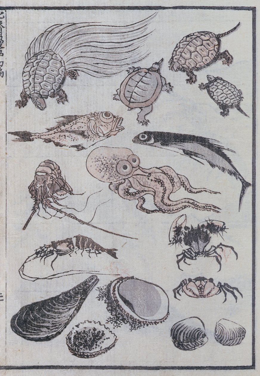 Podmořští tvorové z mangy (barevný dřevotisk) od Katsushika Hokusai