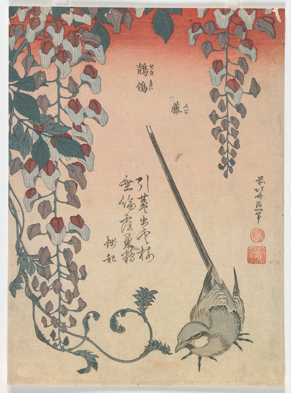 Konipas a vistárie, období Edo, 1834 (barevný dřevotisk) od Katsushika Hokusai