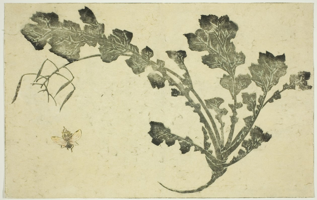 Stonek vosy a tuřínu, z „Obrazové knihy realistických obrazů Hokusai (Hokusai shashin gafu)“ od Katsushika Hokusai