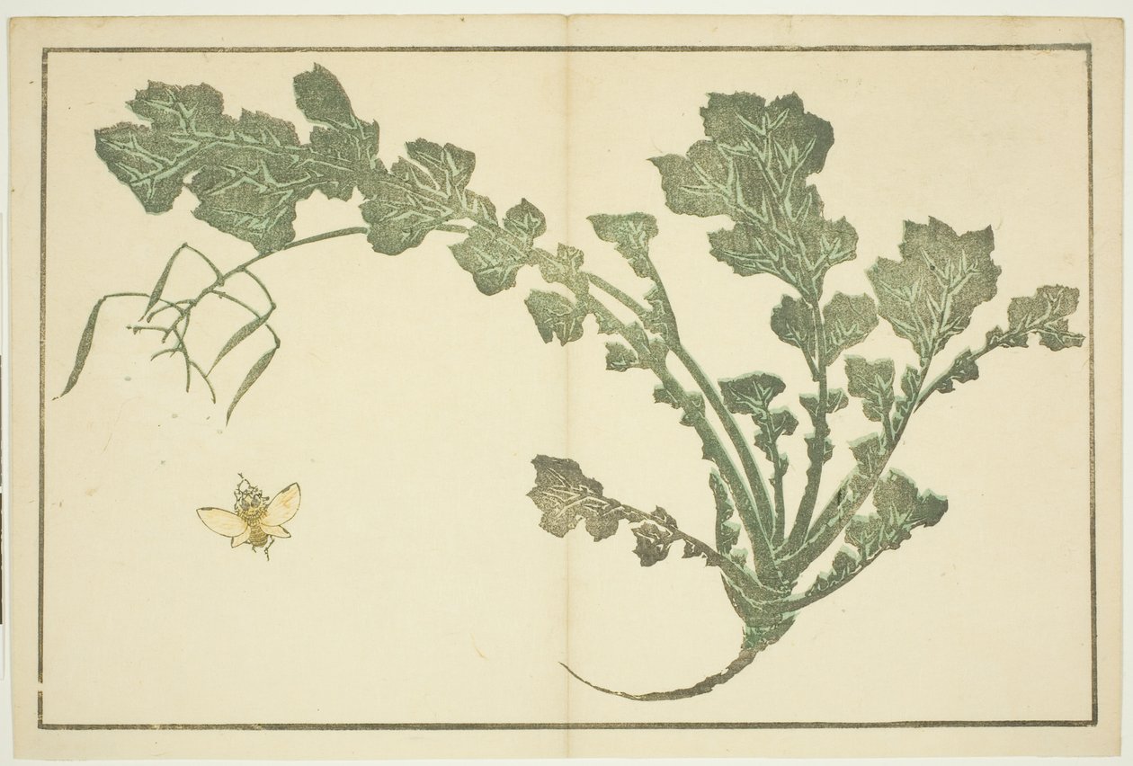 Stonek vosy a tuřínu, z „Obrazové knihy realistických obrazů Hokusai (Hokusai shashin gafu)“ od Katsushika Hokusai