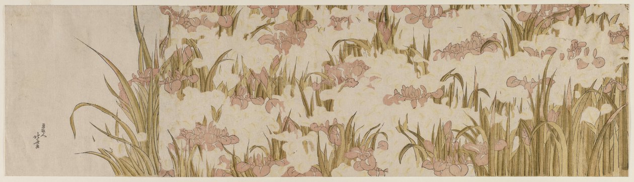 Bílé a fialové kosatce od Katsushika Hokusai