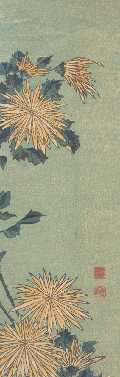 Žluté chryzantémy na modrém podkladu, ca. 1825. od Katsushika Hokusai